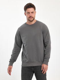 Свитшот Trend Collection модель TC11177GreySVTSHT Фото