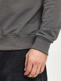 Худи Trend Collection модель TC11199GreyHD Фото