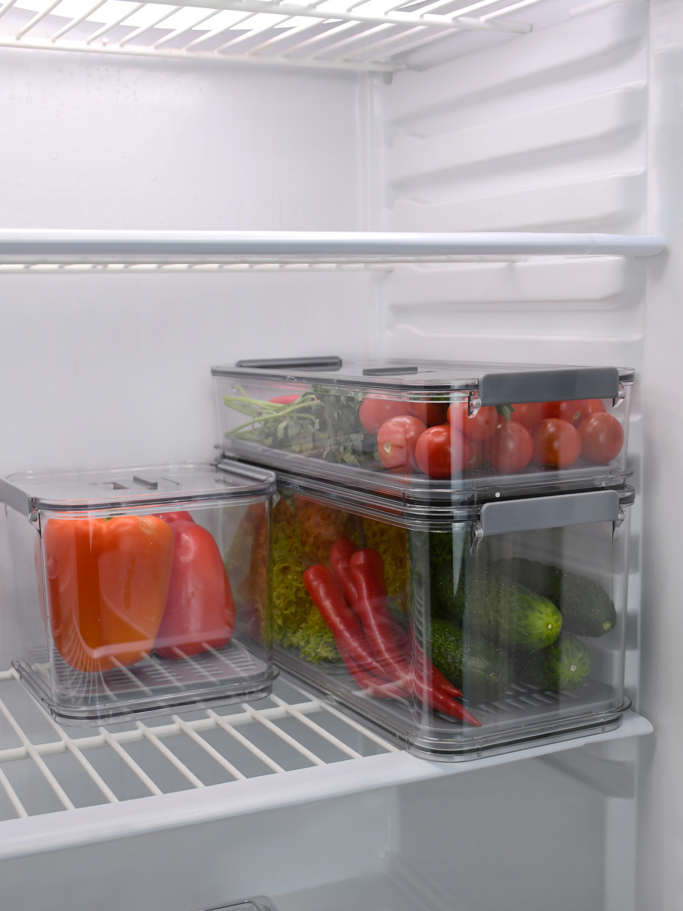 Контейнер для хранения с вентиляционным отверстием и поддоном, 2,5 л. Homax модель BR-04 Фото