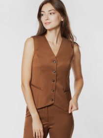 Класичний жилет Arber модель AOW20.02.38 Фото