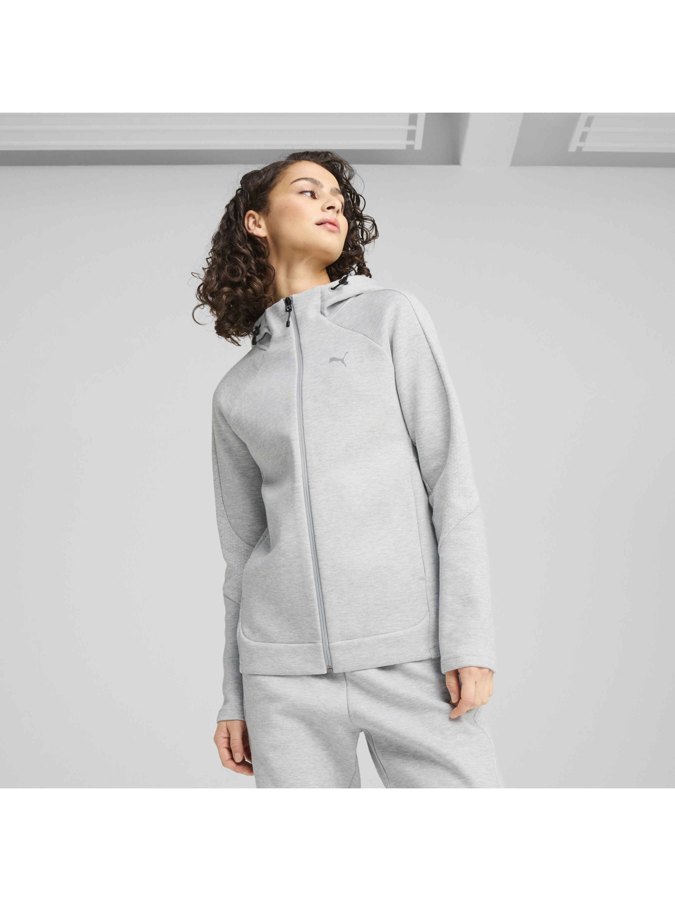 Кофта спортивная PUMA Evostripe Full-zip Hoodie модель 685050 Фото