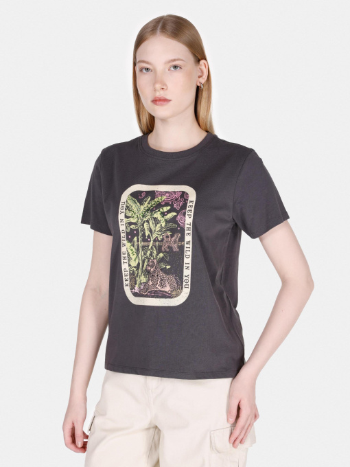 Футболки и поло Colin’s модель CL1073474_Q1.V1_ANT Фото