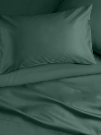 Наволочка сатин на подушку AGAVE Cosas модель 80Satin_Agave_40x40 Фото