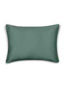 Наволочка сатин на подушку AGAVE Cosas модель 80Satin_Agave_40x40 Фото