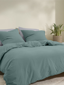 Наволочка на подушку AGAVE Cosas модель Ranfors_Ashmint_40x40 Фото