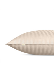 Наволочка сатин на подушку BISCOTTI Cosas модель StrSatin_07Biscotti_40x60 Фото