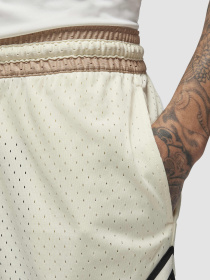 Шорти Jordan Dri-Fit Sport модель DX1487-113 Фото