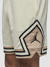 Шорти Jordan Dri-Fit Sport модель DX1487-113 Фото