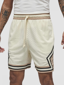 Повседневные шорты Jordan Dri-Fit Sport модель DX1487-113 Фото