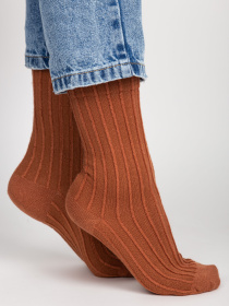 Шкарпетки Famo модель SH-582-2_03 Фото