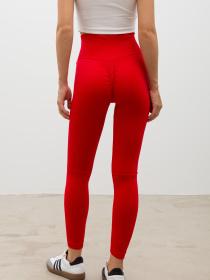 Легінси Famo модель BR-9806_02 Фото