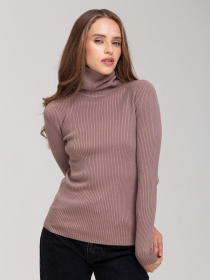 Водолазка Famo модель GO-8253_24 Фото