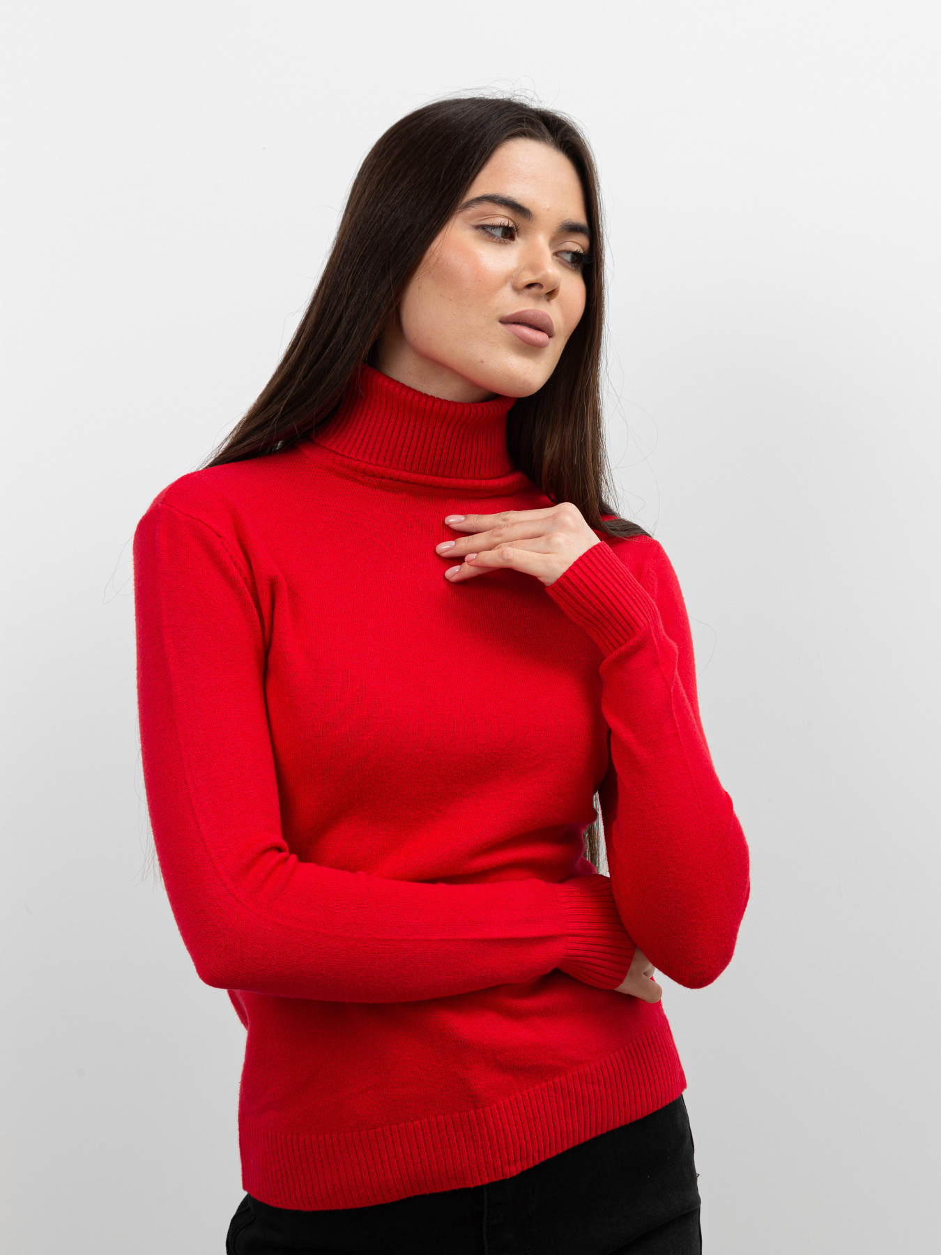 Водолазка Famo модель GO-1838_04 Фото