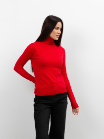 Водолазка Famo модель GO-1838_04 Фото