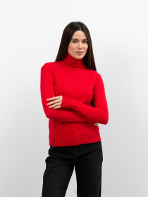 Водолазка Famo модель GO-1838_04 Фото