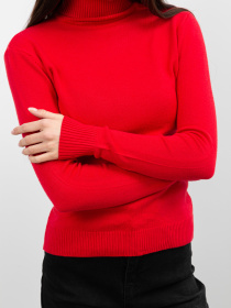 Водолазка Famo модель GO-1838_04 Фото