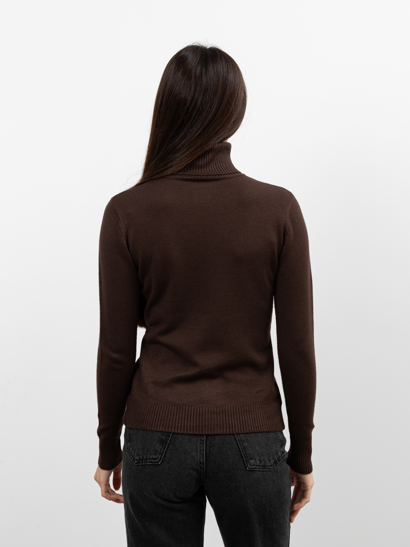 Водолазка Famo модель GO-1838_03 Фото