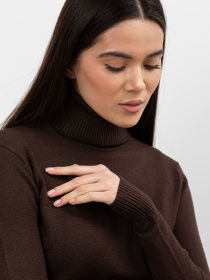 Водолазка Famo модель GO-1838_03 Фото