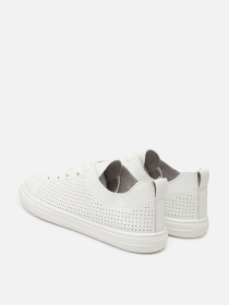 Кеди низькі Stilli модель ЦБ-00273225 Фото