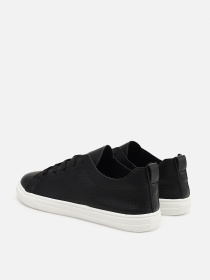 Кеды низкие Stilli модель ЦБ-00273226 Фото