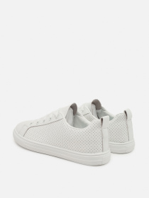 Кеды низкие Stilli модель ЦБ-00273228 Фото