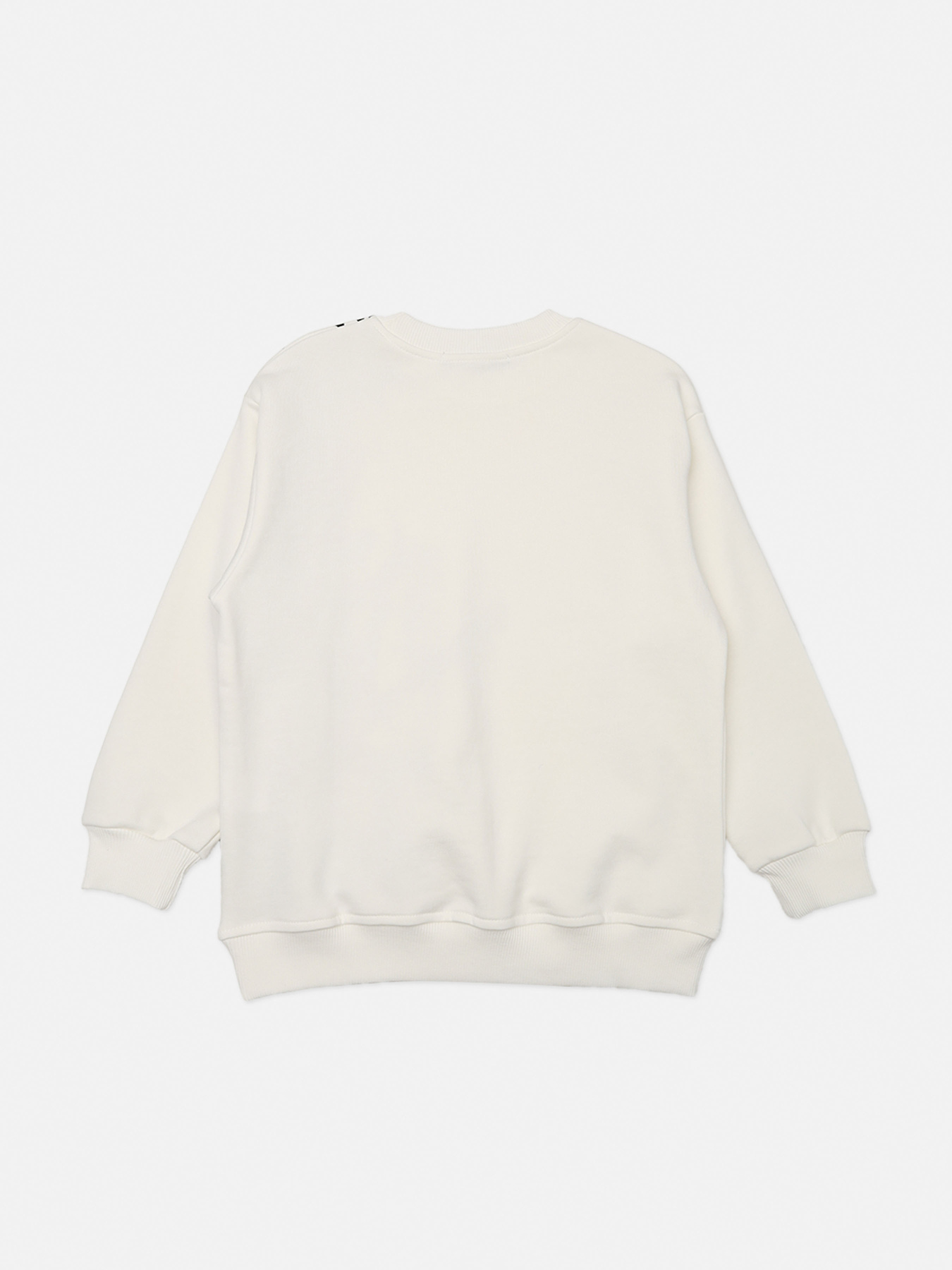 Світшот YUKI модель ЦБ-00269723 Світшот YUKI модель ЦБ-00269723 Фото