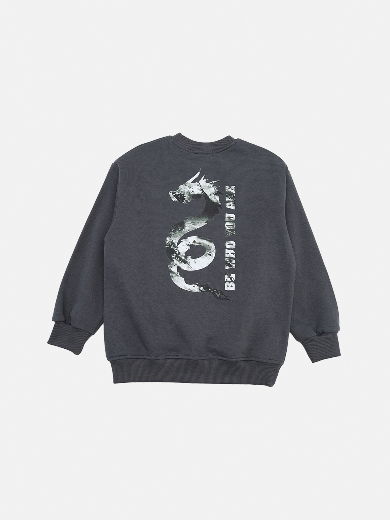 Свитшот YUKI модель ЦБ-00269726 Свитшот YUKI модель ЦБ-00269726 Фото