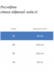Кеди низькі Gem модель 123-7 Фото