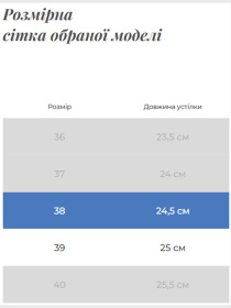 Челсі Gem модель 1911-2B Фото