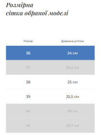 Ботинки Gem модель 1926-K Фото