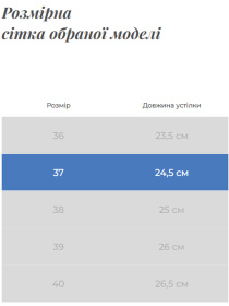 Черевики Gem модель 1136-247-31-1 Черевики Gem модель 1136-247-31-1 Фото