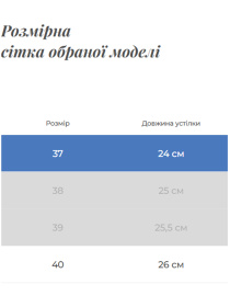Чоботи Gem модель 483847530 Фото