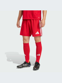 Шорты Adidas модель JN7157-KZ Фото