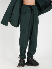 Штани повсякденні IJ модель ij-pants-lip-velvet-emerald Фото