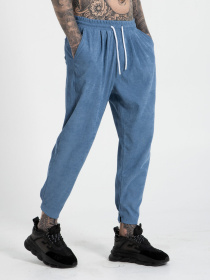 Штани повсякденні IJ модель ij-pants-lip-velvet-blue-man Фото