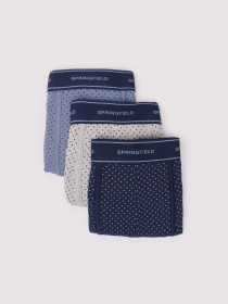 Набор трусов SPRINGFIELD модель 1259363-11 Фото