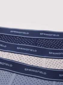 Набор трусов SPRINGFIELD модель 1259363-11 Фото