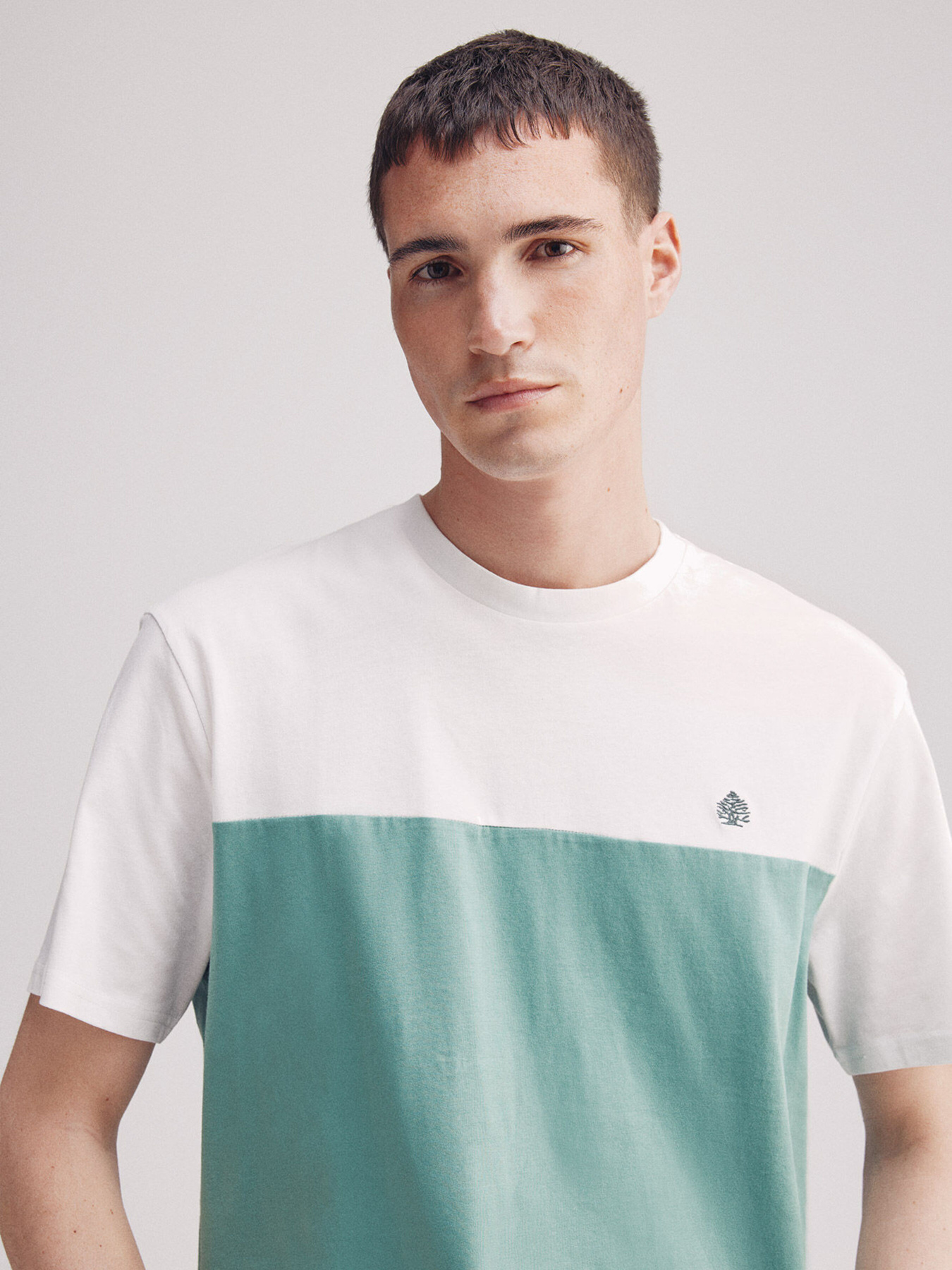 Футболка SPRINGFIELD модель 7122294-25 Фото