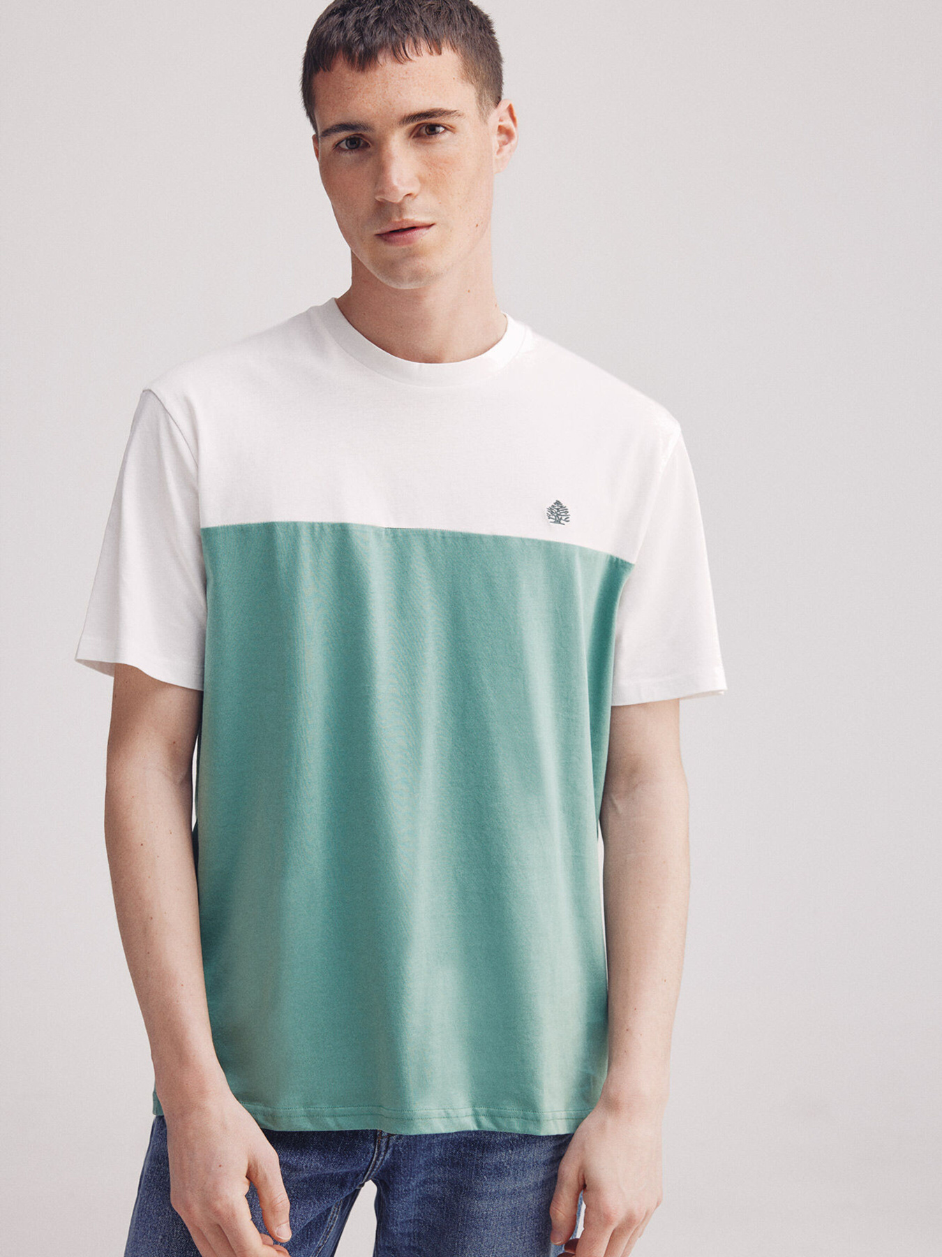 Футболка SPRINGFIELD модель 7122294-25 Фото