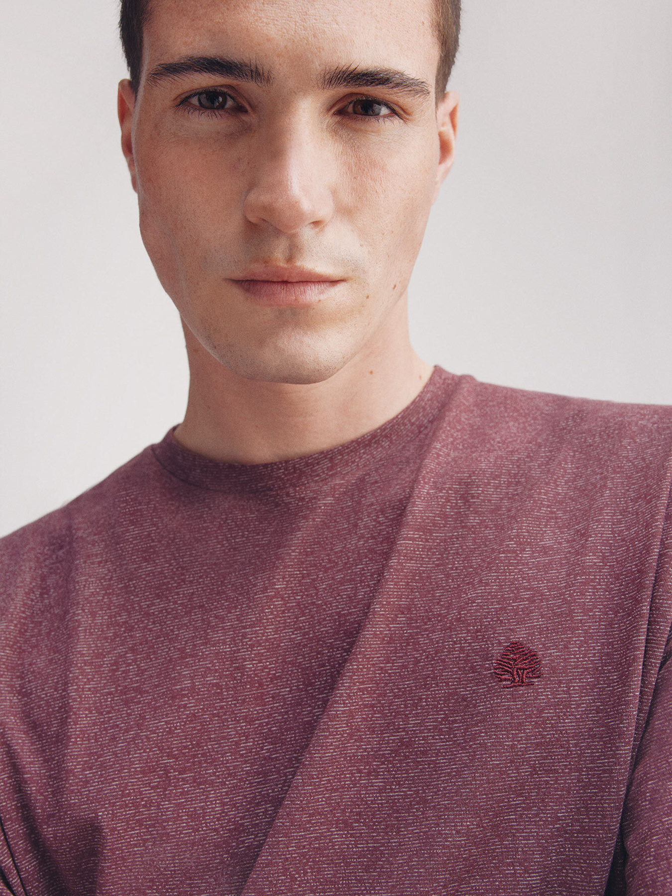 Футболка SPRINGFIELD модель 7122299-69 Фото