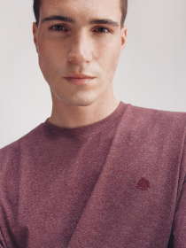 Футболка SPRINGFIELD модель 7122299-69 Фото