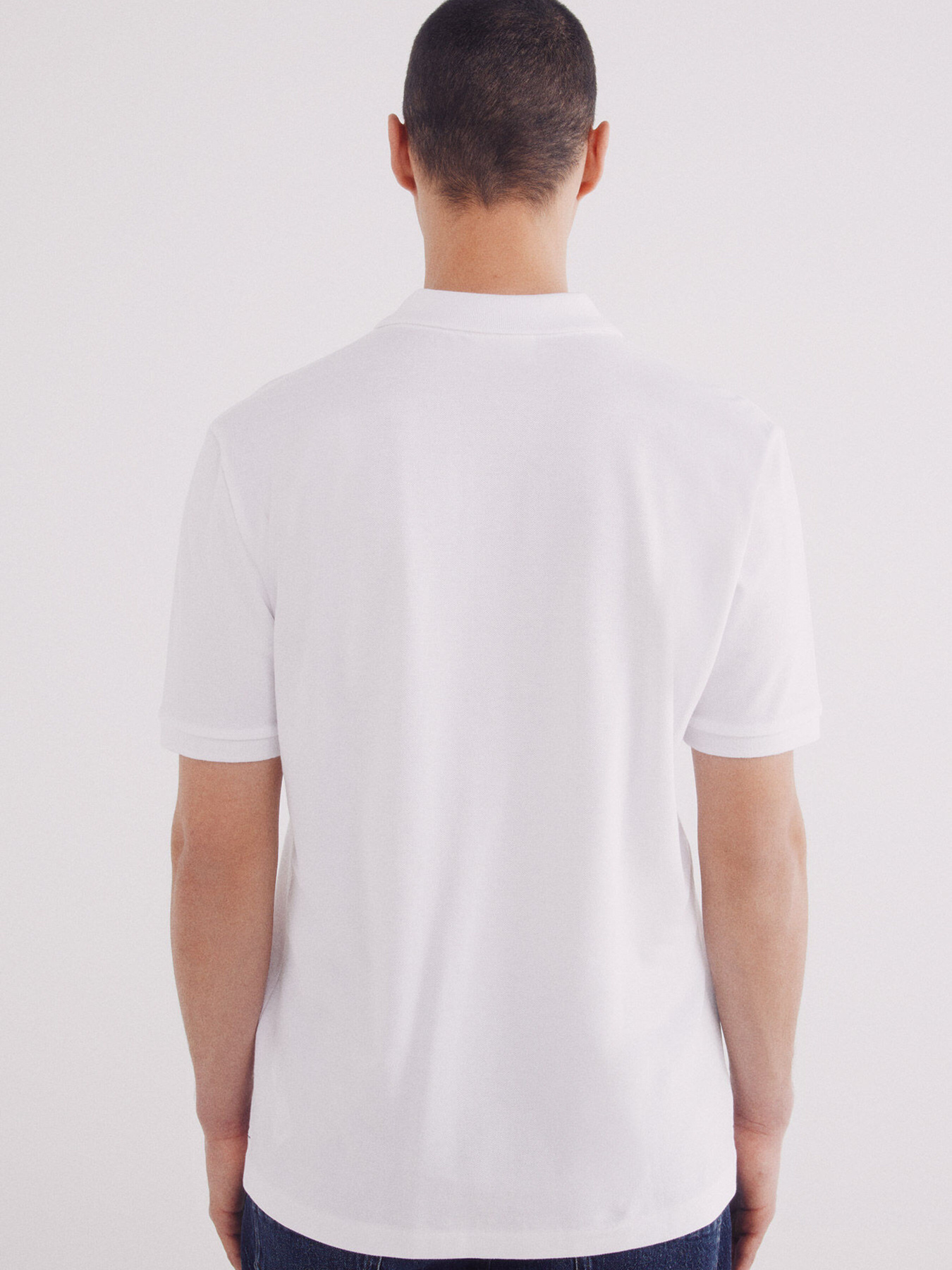 Поло SPRINGFIELD модель 8551088-99 Фото