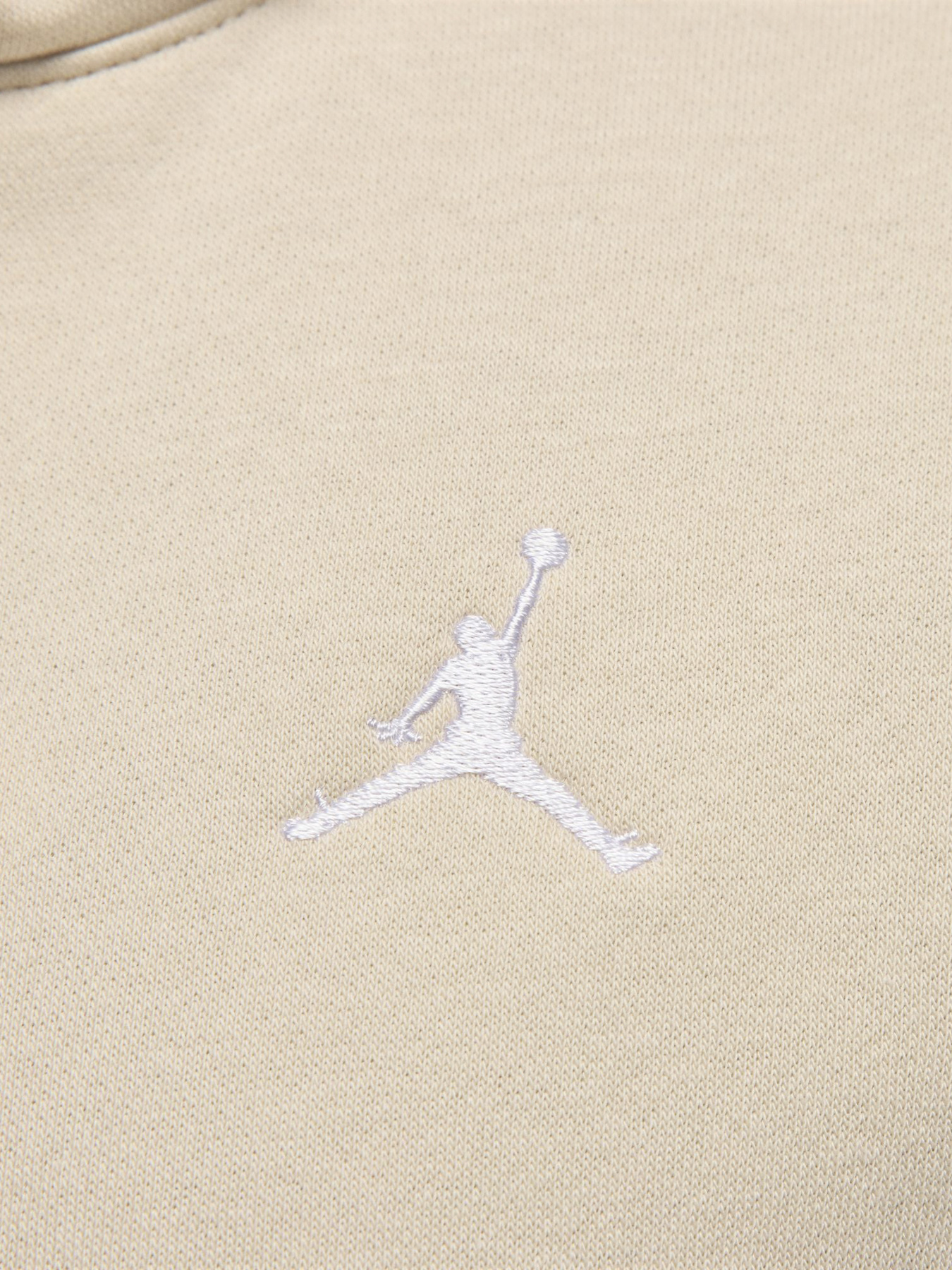 Худі Jordan Brooklyn Fleece модель FV7071-203 Фото