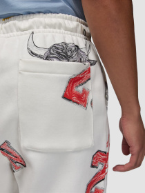 Джоггеры Jordan M Ess Aop Flc Pant модель FN4547-133 Фото