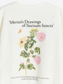 Свитшот H&M модель 75869 Фото