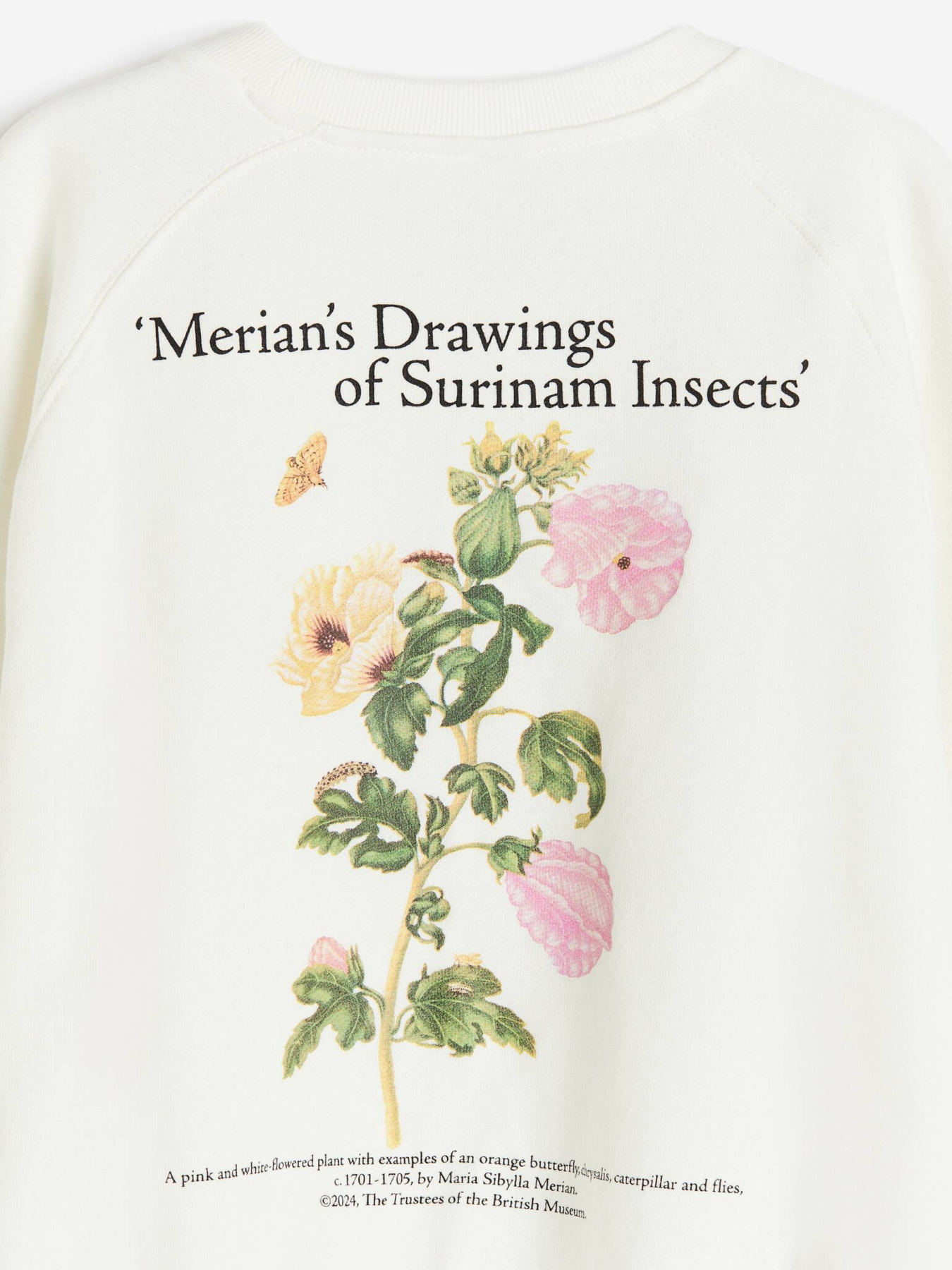 Світшот H&M модель 75869 Фото