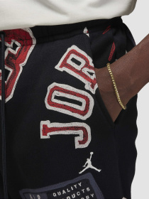 Джогери Jordan Brooklyn Fleece модель FN4547-010 Фото