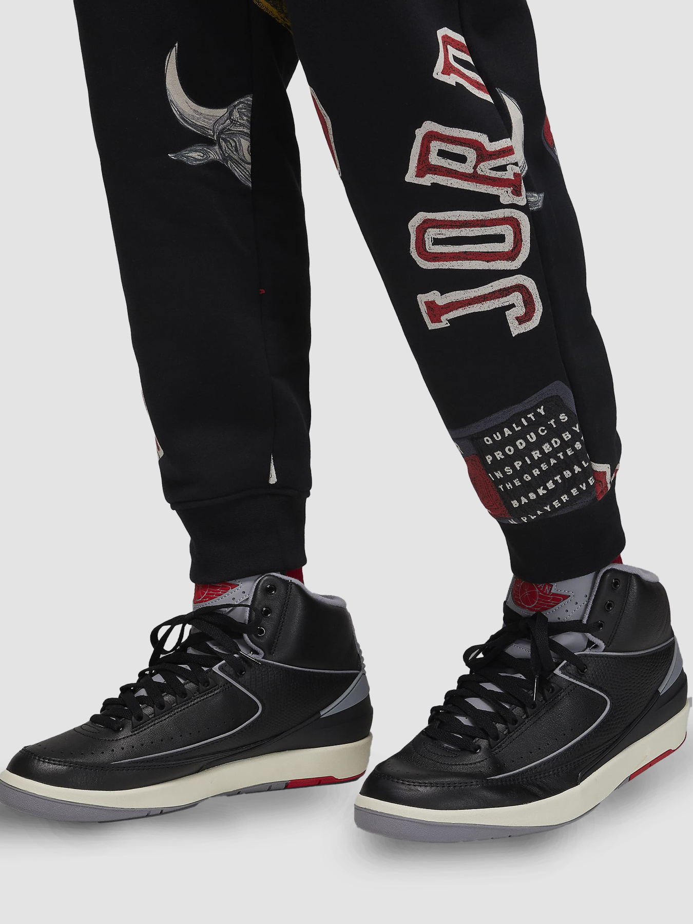 Джогери Jordan Brooklyn Fleece модель FN4547-010 Фото