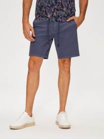 Повседневные шорты DIVERSE Postes Iv модель 10039506 Фото