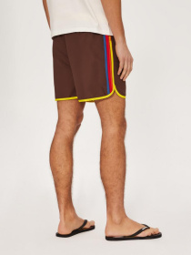 Шорти для плавання DIVERSE Cltn Retros модель 10039691 Фото